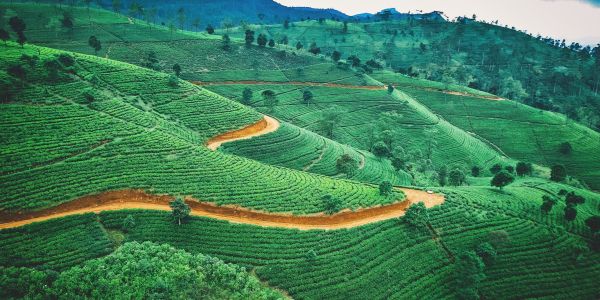 Kodaikanal+Munnar Complete Travel Plan! 1 Kodaikanal+Munnar Complete Travel Plan! admin ajax.php?action=kernel&p=image&src=%7B%22file%22%3A%22wp content%2Fuploads%2F2022%2F04%2Fjaromir kavan i9eaAR4dWi8 unsplash scaled