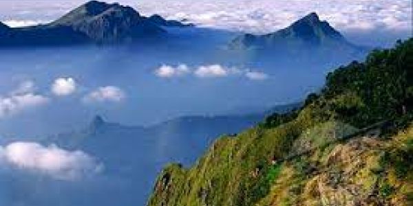 The Mystery Behind Kurinji Flowers of Nilgiri Forest 7 green valley