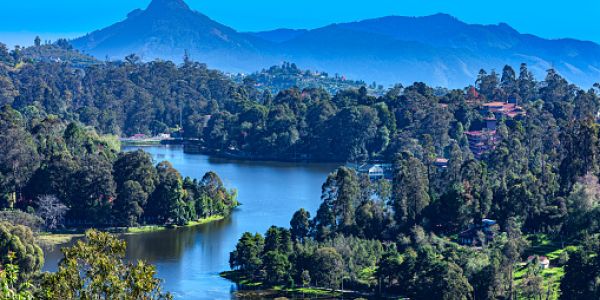 7 Kodaikanal Monsoon Treks: The Ultimate Guide for Adventure Enthusiasts 7 trip to kodaikanal