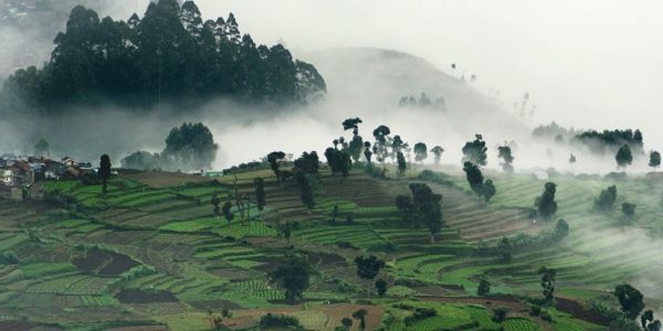 7 Kodaikanal Monsoon Treks: The Ultimate Guide for Adventure Enthusiasts 3 monsoon