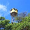 Kodaikanal Tour - Wild Ways fire tower 3f4630a4