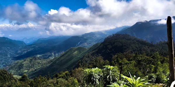 The Mystery Behind Kurinji Flowers of Nilgiri Forest sana kumar oSESVcIoMQI unsplash scaled 518b6a5e