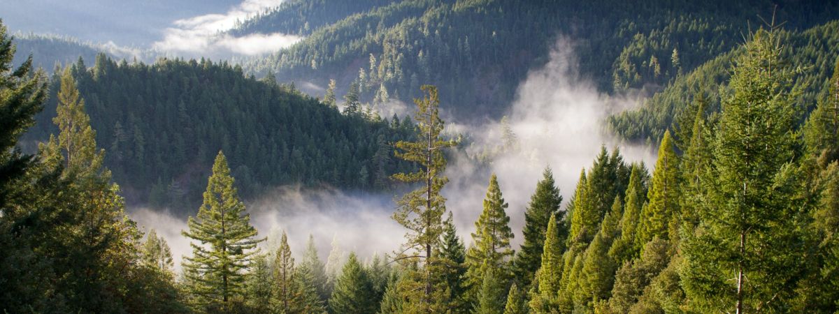 Year-Round Weather Analytics Of Kodai paul summers ArtVJ 217Cw unsplash scaled 5949b286