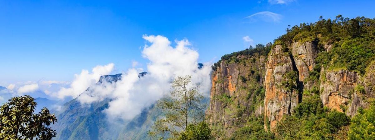 coorg