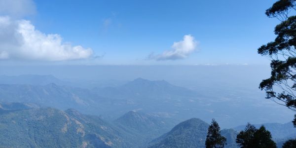 ayurveda