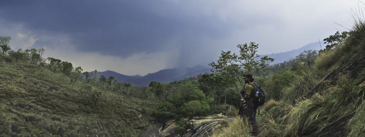 Green Valley in Kodaikanal (Suicide Point) - Guide, Images, Timings & More kodaitrip kodaikanal Wilderness 8a2cb566