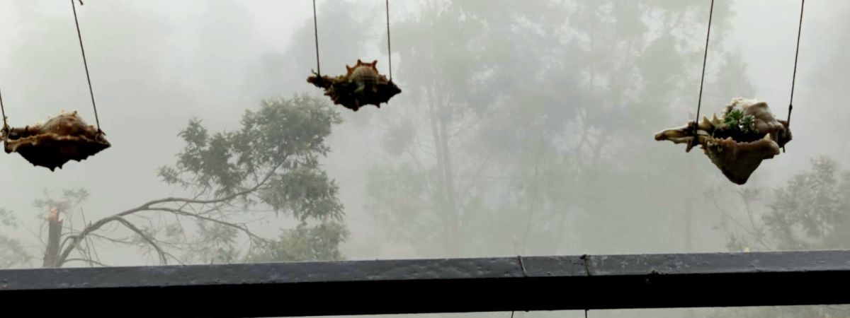 5 Unique and Lovely Cafes in Kodaikanal 1 kodaikanal