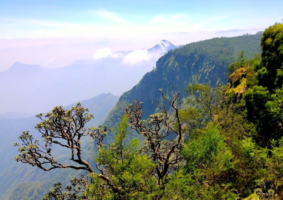 Kodaikanal Tour - Wild Ways 117921684 bc156414