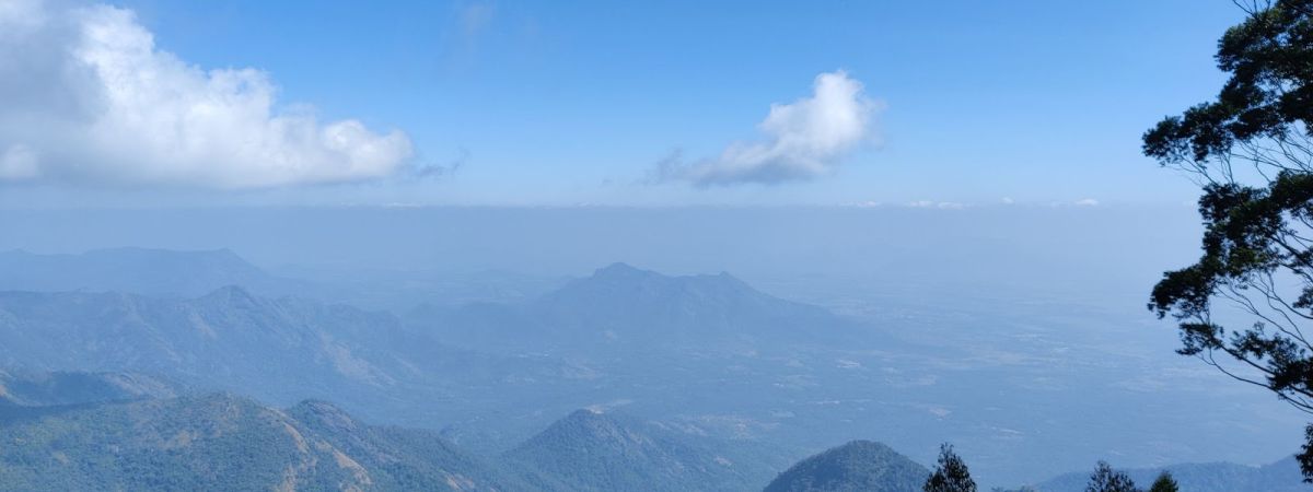 Health and Wellness in Kodaikanal: Ayurveda, Yoga, and Holistic Healing 1 ayurveda