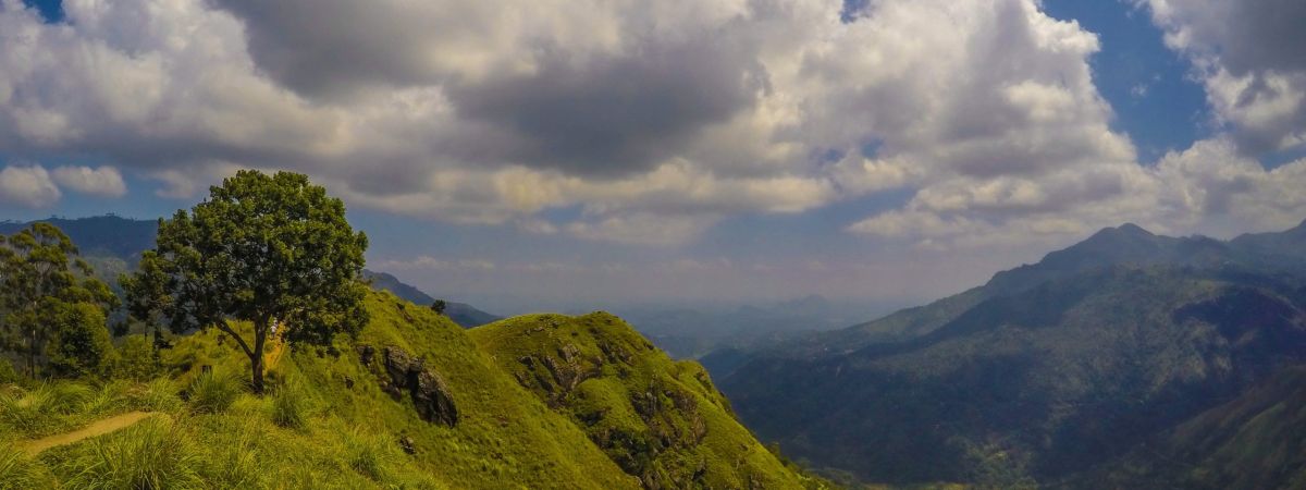 Why Is Kodaikanal Called  As The "Princess Of Hills" anna o connolly Y9L7bPlJ3e8 unsplash scaled d35c2b9d