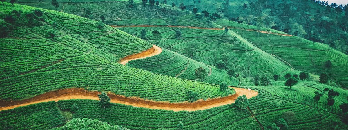 Kodaikanal+Munnar Complete Travel Plan! jaromir kavan i9eaAR4dWi8 unsplash scaled d892aedb