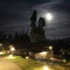 Night Rides - Kodaikanal night view from gate d8b25ed4