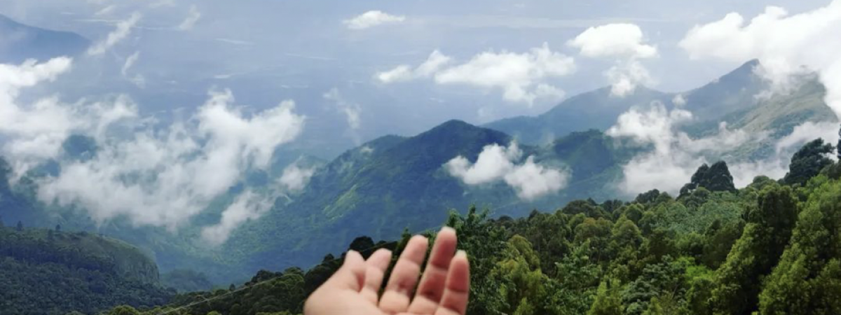 Coakers Walk in Kodaikanal - Complete Guide, Images, Timings & More Screenshot 2022 03 16 at 3.52.08 PM da094ec5