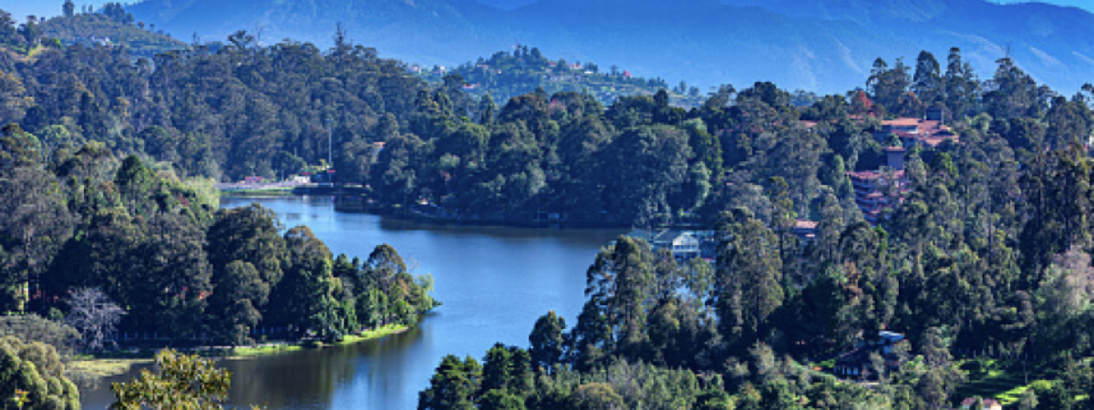 Kodaikanal for Families: Fun Activities and Kid-Friendly Attractions 1 Kodaikanal
