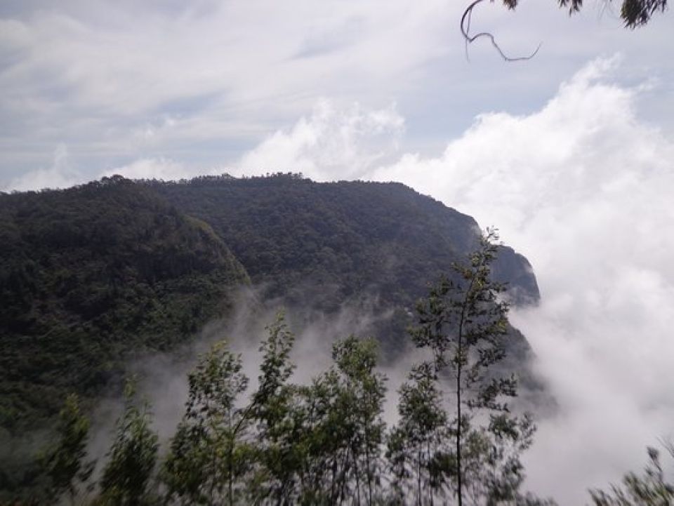 Kodaikanal Tour - Wild Ways silent valley view e202ac20