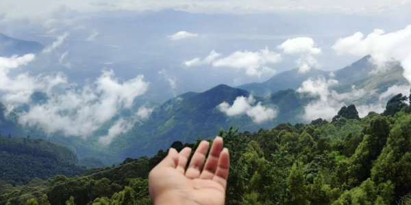 Kodaikanal+Munnar Complete Travel Plan! Screenshot 2022 03 16 at 3.52.08 PM f6c1bf9e