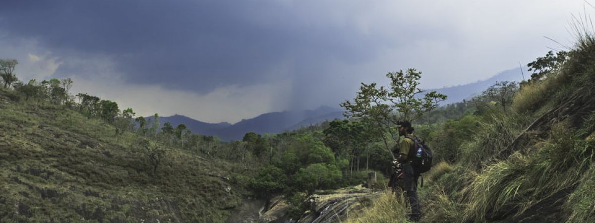 Green Valley in Kodaikanal (Suicide Point) - Guide, Images, Timings & More kodaitrip kodaikanal Wilderness fcd8d25c