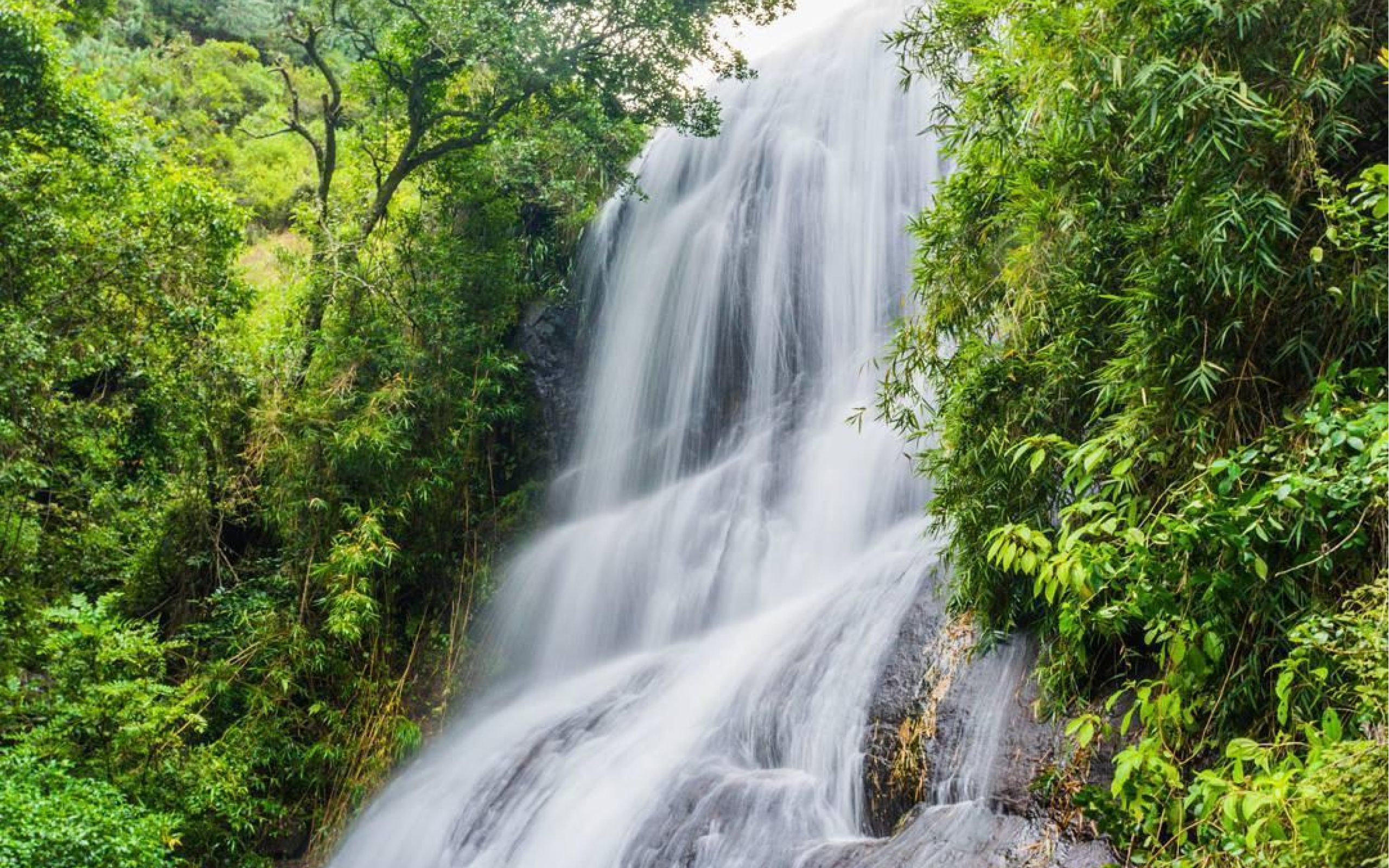 Kodaikanal Tours & Guides Bear shola falls feb044f7