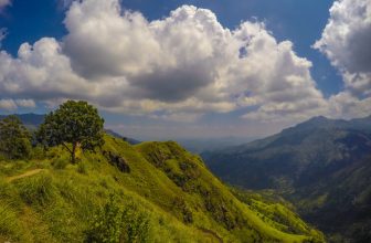 Blog Grid 15 Why Is Kodaikanal Called As The “Princess Of Hills”