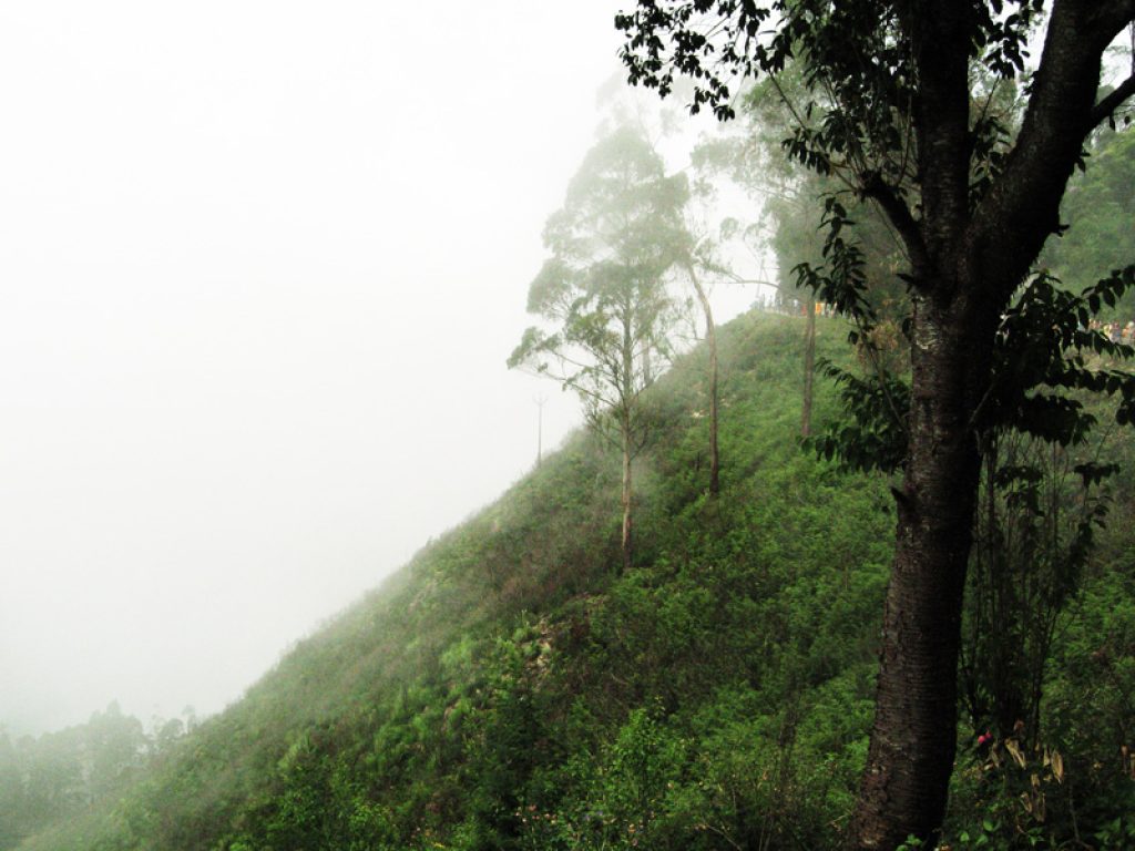 Green Valley in Kodaikanal (Suicide Point) - Guide, Images, Timings & More foggy hills