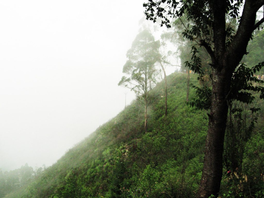 Things To Do In Kodaikanal Tamil Nadu  HerZindagi