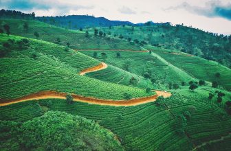 Blog Grid 14 Kodaikanal+Munnar Complete Travel Plan!