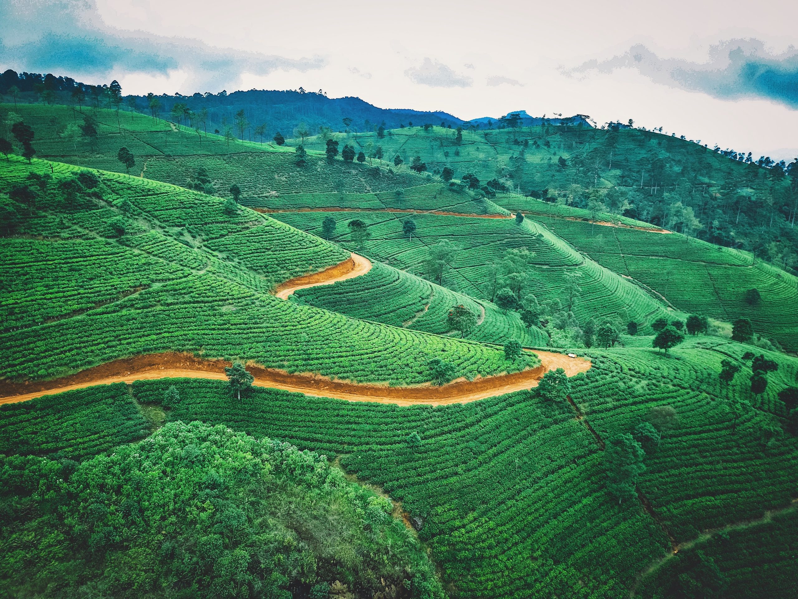 Kodaikanal+Munnar Complete Travel Plan! 1 Kodaikanal+Munnar Complete Travel Plan! jaromir kavan i9eaAR4dWi8 unsplash scaled