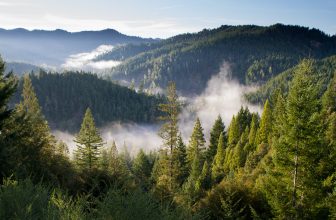 Blog Grid 13 Year-Round Weather Analytics Of Kodai