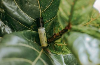 Blog Grid 3 The Secret Behind The Purest Eucalyptus Oil Production In Kodaikanal