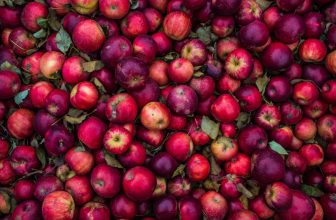 Blog Grid 2 Kodaikanal: A Hub of Fruit Orchards