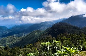 Blog Grid 1 Kodai: An Eco-Tourism Hotspot