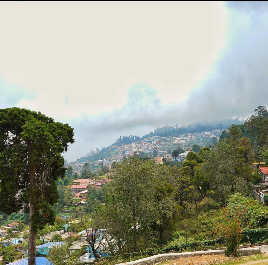 Best Homestays in Kodaikanal: An Insider's Guide to Cozy Accommodation WhatsApp Image 2023 02 19 at 9.39.39 PM