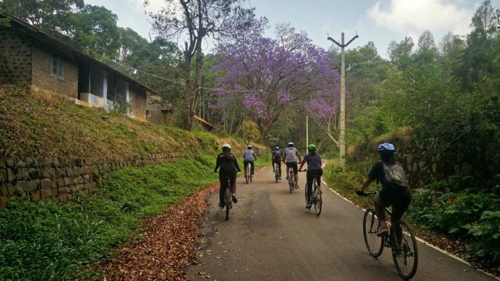 A Guide to Kodaikanal's Best Trekking Trails Kodaikanal Cycle rides