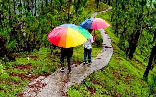 Monsoon in Kodaikanal: Top 10 Things to do on a Rainy day Nature walk in kodaikanal