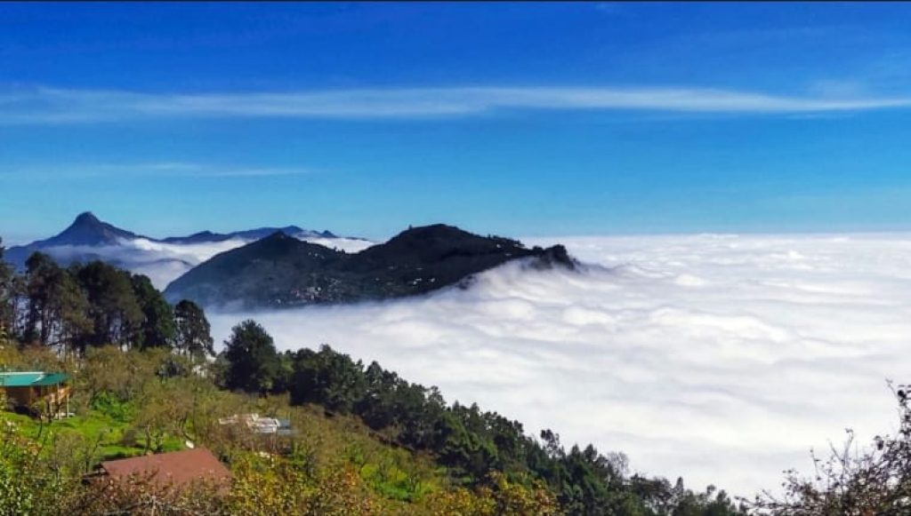 A Guide to Kodaikanal's Best Trekking Trails