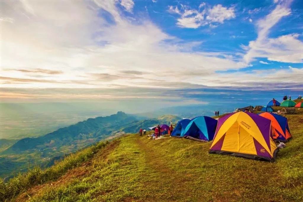 A Guide to Kodaikanal's Best Trekking Trails camping in kodaikanal