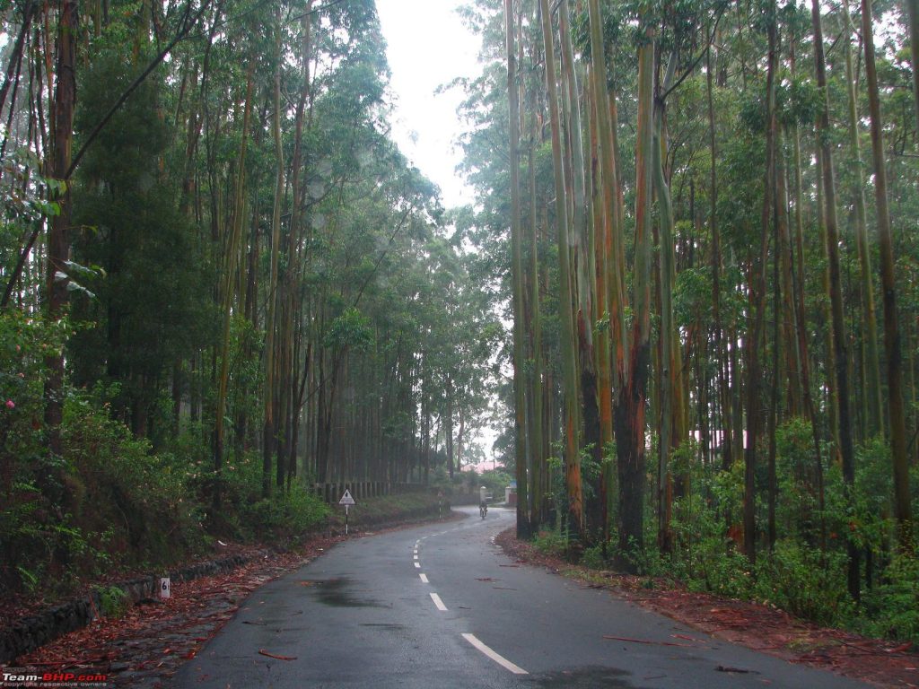Kodaikanal in Monsoon: Discovering the Town's Rainy Charms kodaikanal road 1