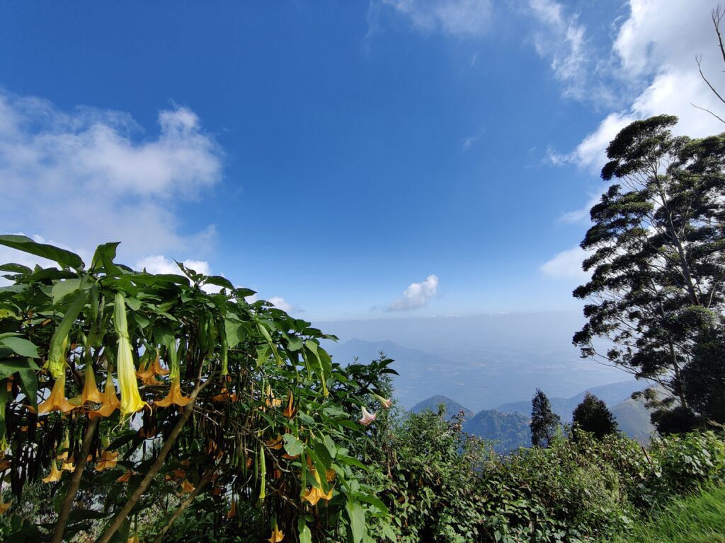 kodaikanal scenes