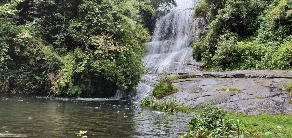 bear shola falls