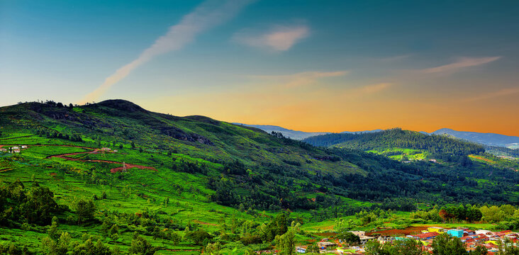 Ooty Botanical Garden... - Picture of Ooty (Udhagamandalam), The Nilgiris  District - Tripadvisor