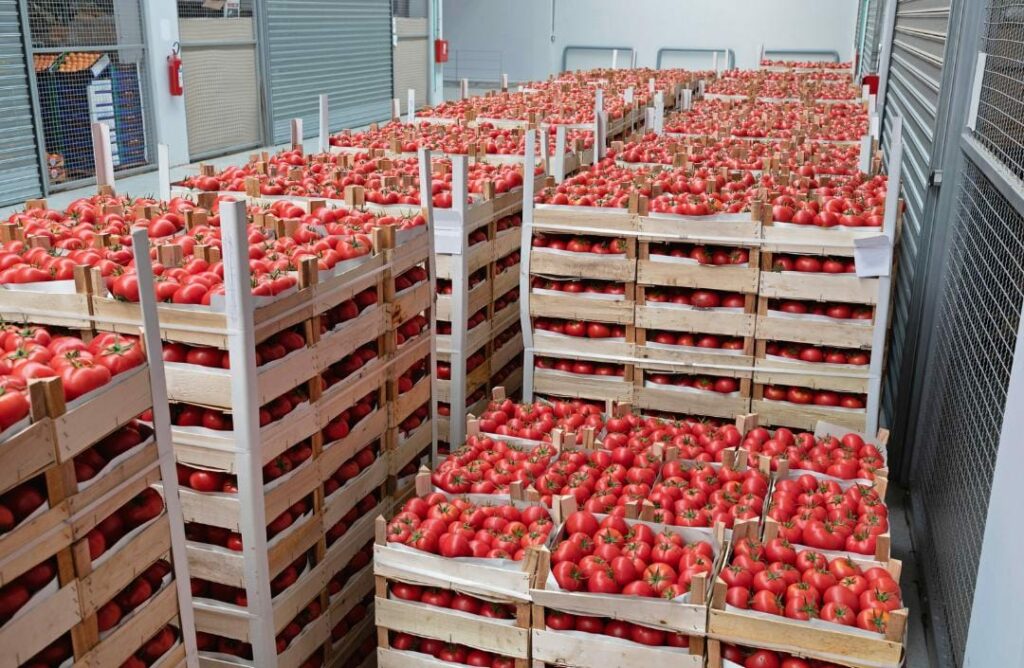 AMS FRUITS WHOLESALE SUPPLIERS