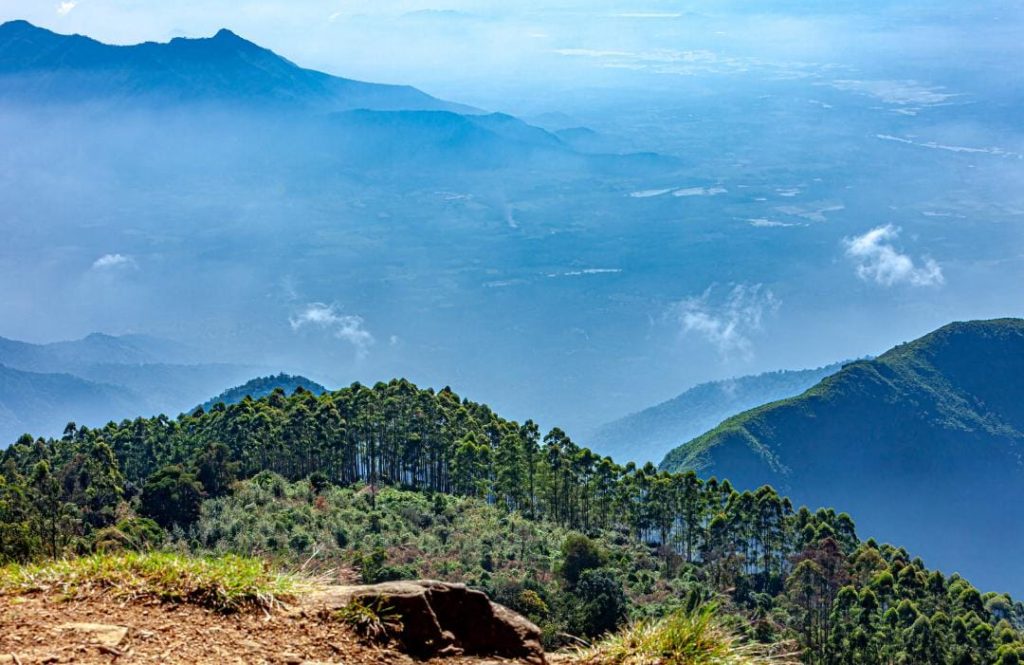 kodaikanal hills