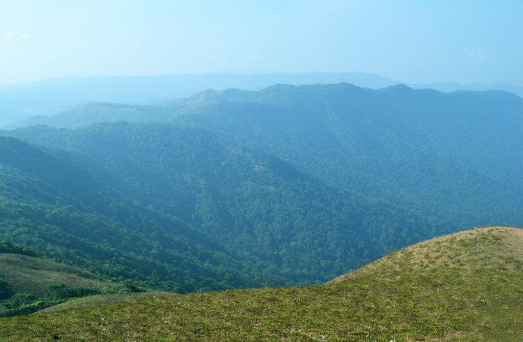 coorg hills