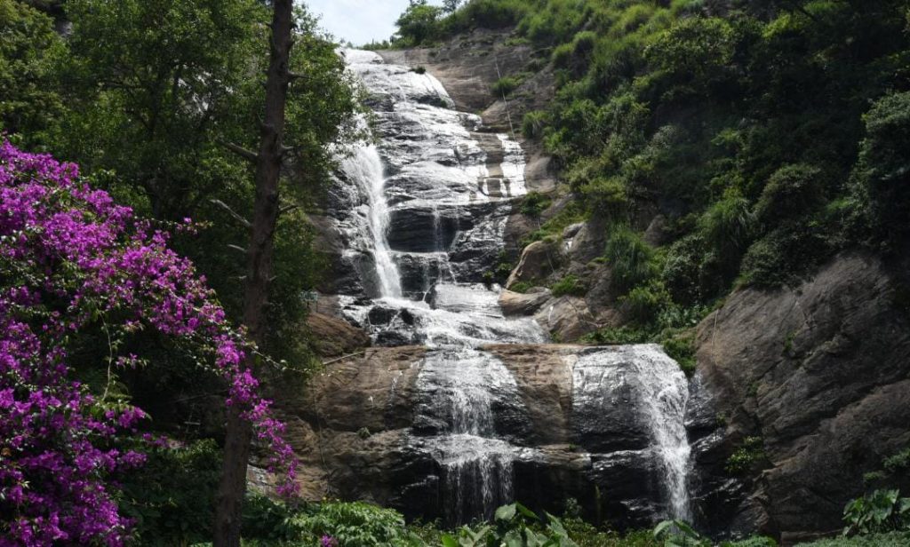 bear shola falls