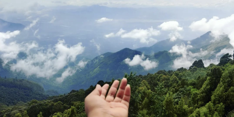 Kodaikanal Tours & Guides 24 Coakers Walk in Kodaikanal – Complete Guide, Images, Timings & More