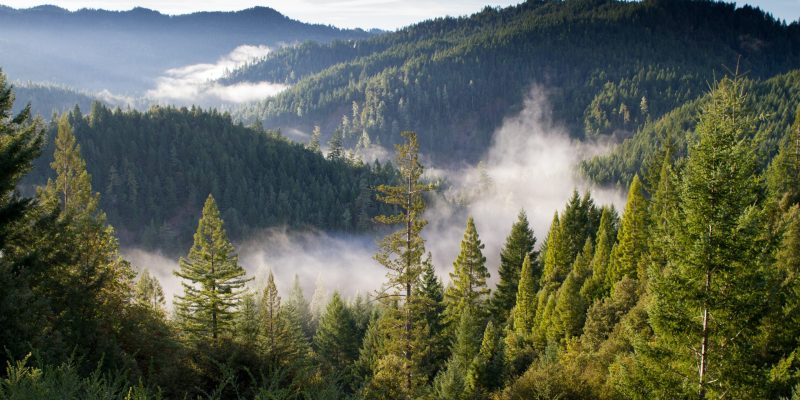 Kodaikanal Tours & Guides 28 Year-Round Weather Analytics Of Kodai