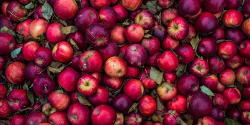 Kodaikanal Tours & Guides 26 Kodaikanal: A Hub of Fruit Orchards